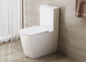 Ravine Rimless Comfort Height WC Toilet by Imex